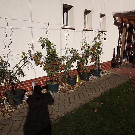 Pension Regenbogen Stralsund Exterior foto