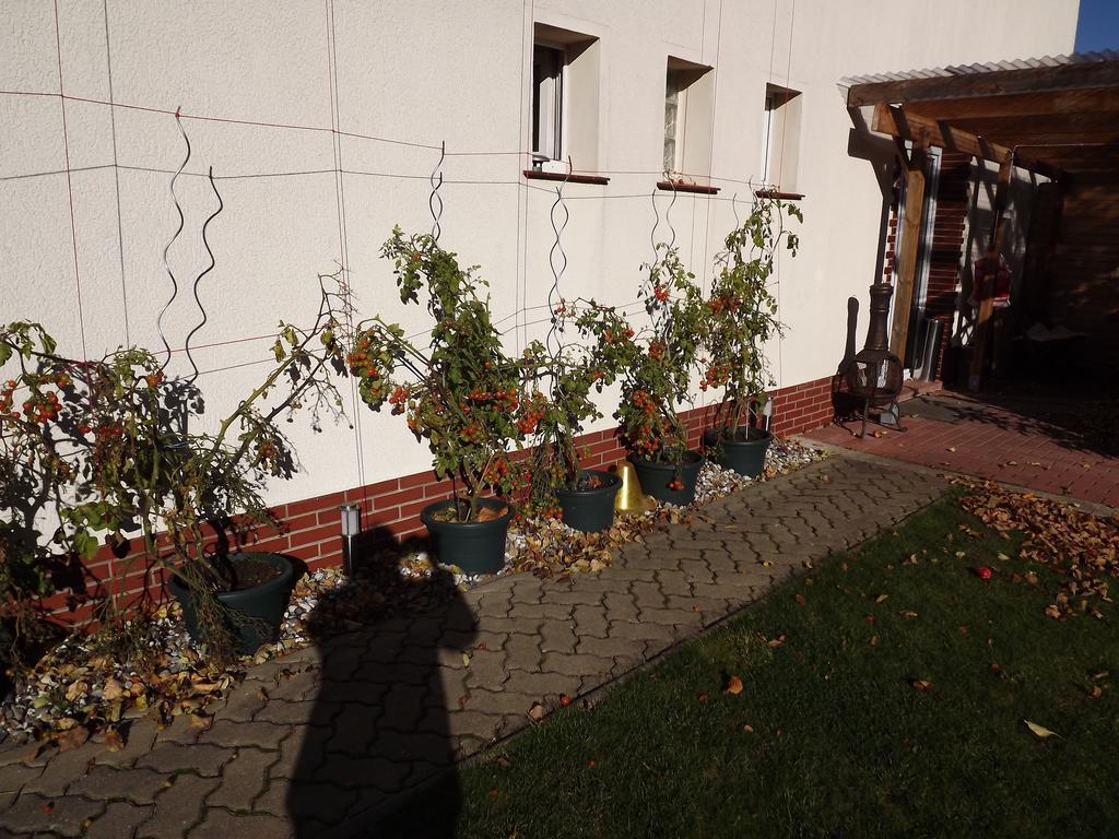 Pension Regenbogen Stralsund Exterior foto